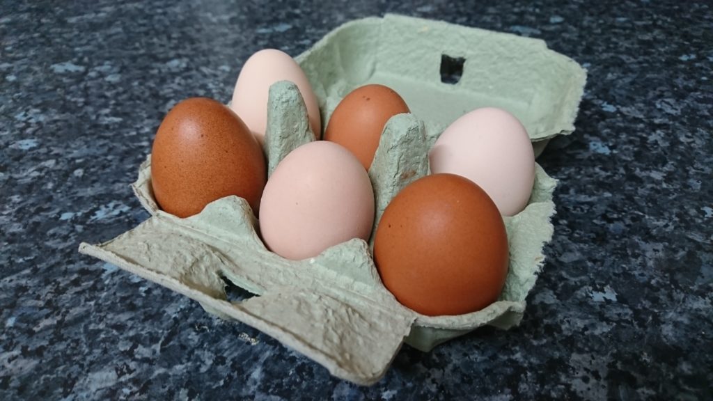 Sussex Free Range Pastured Eggs
